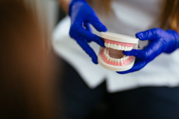 Why Choose Us for Your Dental Needs in Auburn, IL